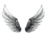 Fallen AngeI$