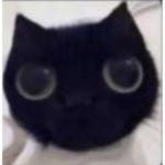 XMili_chan