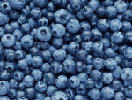 THE BERRIES!! :D
