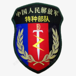 【NMG】内蒙古特战旅