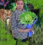 Queens Of Bazar