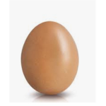 The Egg egg egg egg egg Army
