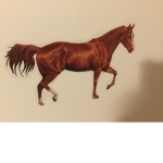 Cowgirl Club