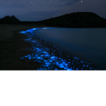 Azure Tides