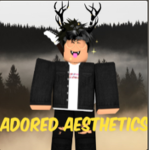 Adored Aesthetics