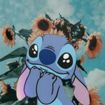 -Stich fan group-