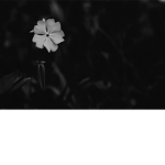 +Depressive Players+