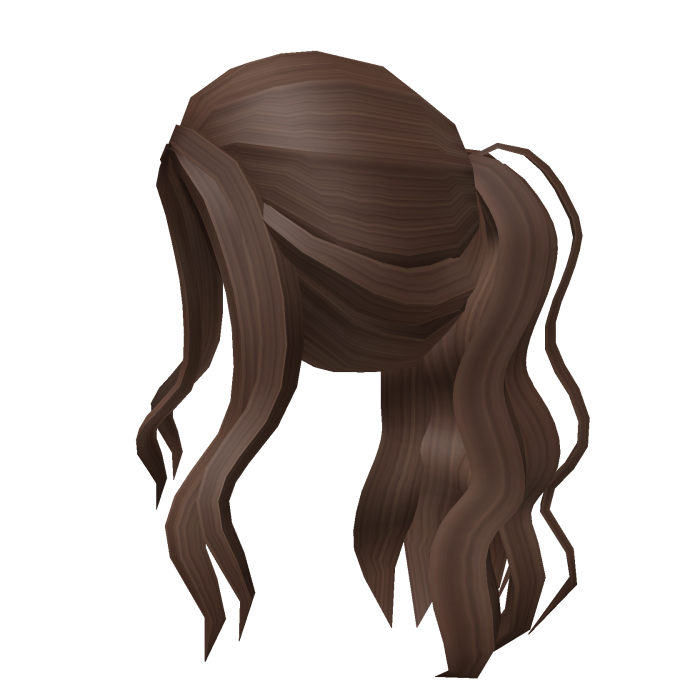 Aesthetic brown wavy ponytail