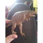 sneaky dinosaur