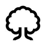 The Lemon Oaks