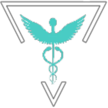 Bloks Hospital Roblox group icon