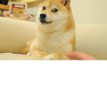 Doge Is The Besttt