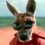 Kangaroos likers