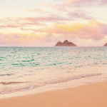 Aestheticc Holidays
