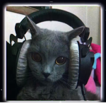 adict1on