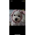 PSH_coco