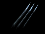 The Claw Warriors
