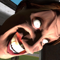 MEME RUN!
