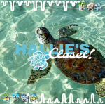 Hallie’s Closet!