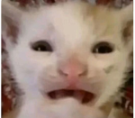 LankyBoxVictor