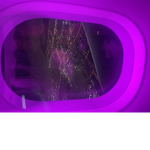 alz group