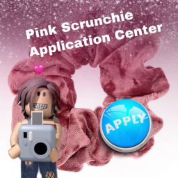 Pink Scrunchie Salon Application Center