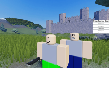 CASTLE BATTLE (NEW)