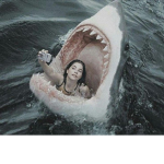 Le Sharky Clan
