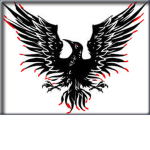 Black Ribbon Army