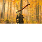 LumberTime Fan Group