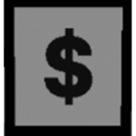 Youth's Roblox Bank Account