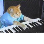 Keyboard Cat Fan Group