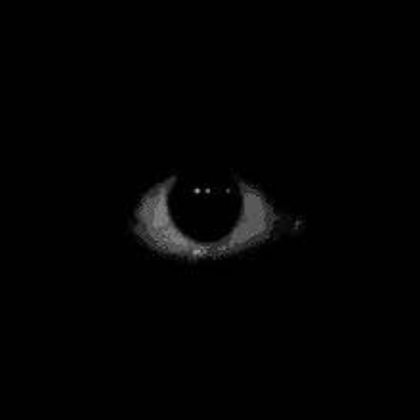 eye of horror Roblox decal