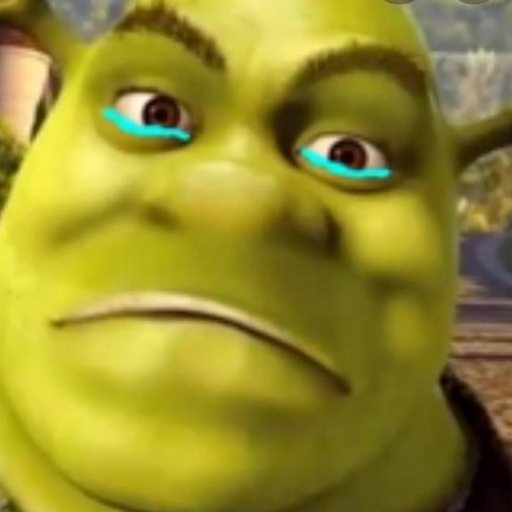 shrek sad story school bully cry icon
