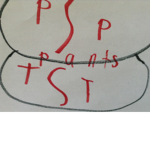 The Plot of P0OPYPANTS