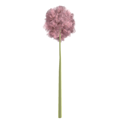 LORAX TREE