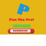 Pun The Pro Fan Group
