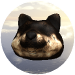 Mystery Doge #2