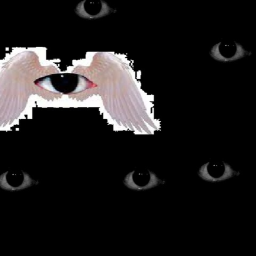 Chapter 5