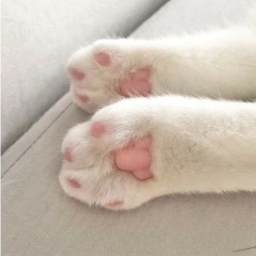 ❁