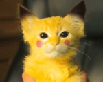 Cats_for life