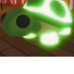adopt me neon helpers for neon pets :)