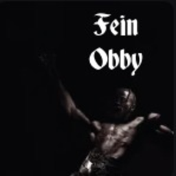 [20K] Fein Obby