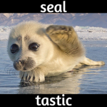 Sealtastic