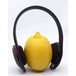 Limon's Album obby
