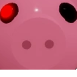 Practice Piggy