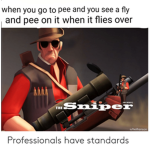 More Professionals Are Getting Standards