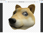 (Doge lives matter)