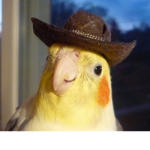 Tiny Hats Civilization
