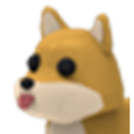 Shiba’s United!